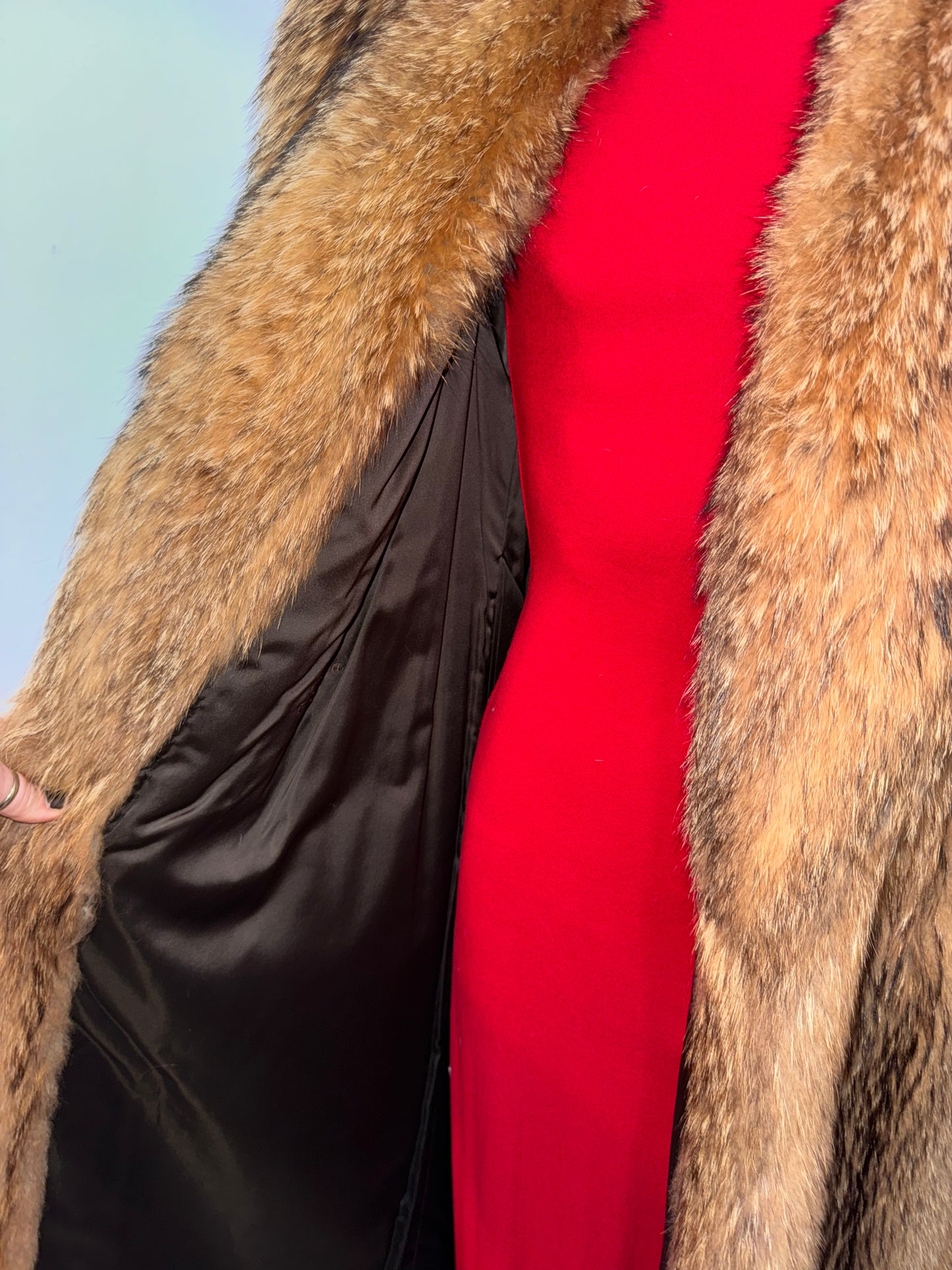 Vintage Tanuki Fur